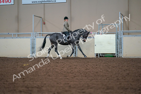 2019 Morgan Horse Show - Aug 30, 2019 - 20719