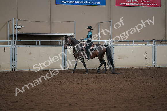 2019 Morgan Horse Show - Aug 30, 2019 - 26116