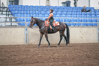 2019 Morgan Horse Show - Sept 01, 2019 - 05733