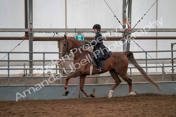 July 19, 2019 - 13179