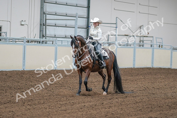 2020 - AB Morgan Horse - Sat, Sept 05 - 09004