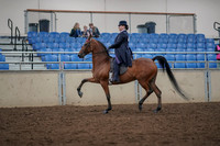 2019 Morgan Horse Show - Aug 30, 2019 - 28359