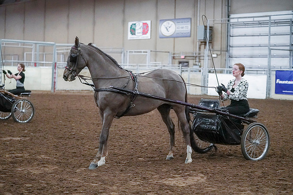 Spring Fling - Saturday - April 20, 2019  -  00303