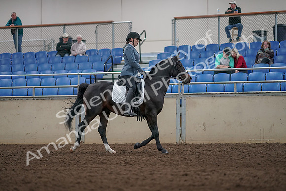 2019 Morgan Horse Show - Aug 31, 2019 - 07444