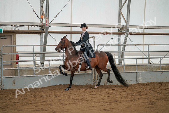 July 20, 2019 - 04259