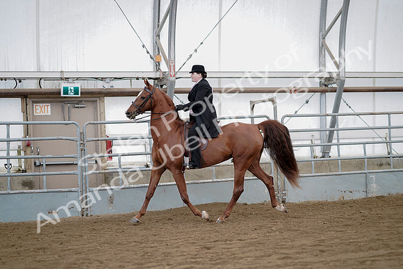 July 21, 2019 - 10475