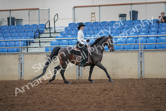 2019 Morgan Horse Show - Aug 30, 2019 - 16958