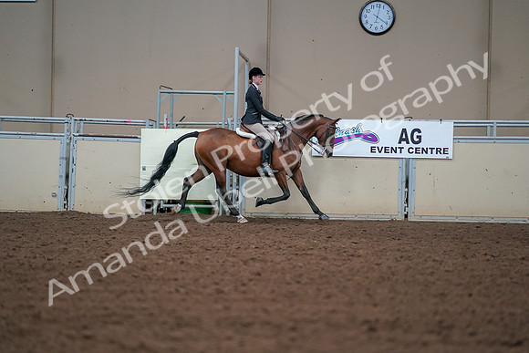 2019 Morgan Horse Show - Aug 30, 2019 - 20923
