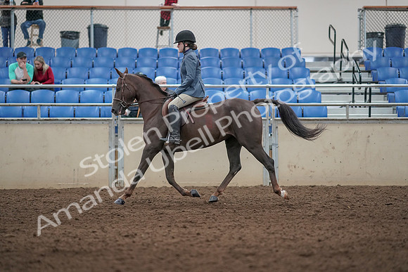 2019 Morgan Horse Show - Aug 31, 2019 - 07304