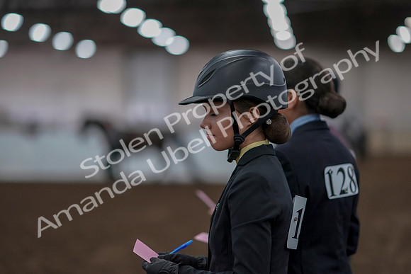 2019 Morgan Horse Show - Aug 31, 2019 - 03940