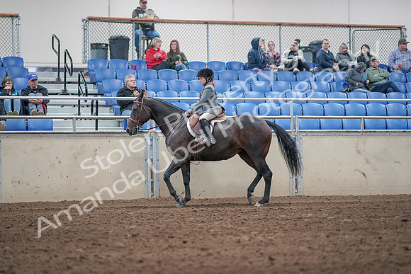 2019 Morgan Horse Show - Aug 31, 2019 - 19449