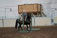 2020 - AB Morgan Horse - Fri, Sept 04 - 00047