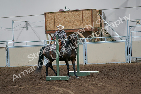 2020 - AB Morgan Horse - Fri, Sept 04 - 00047