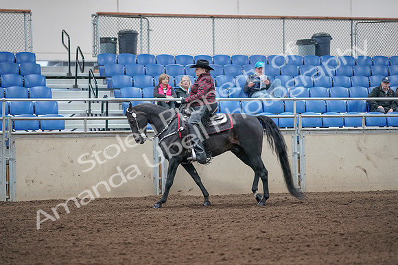 2019 Morgan Horse Show - Aug 31, 2019 - 10646