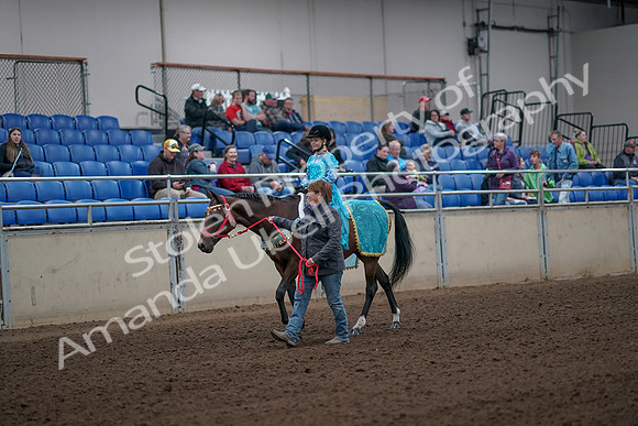 2019 Morgan Horse Show - Aug 31, 2019 - 09938