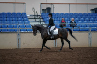 2019 Morgan Horse Show - Aug 31, 2019 - 16496