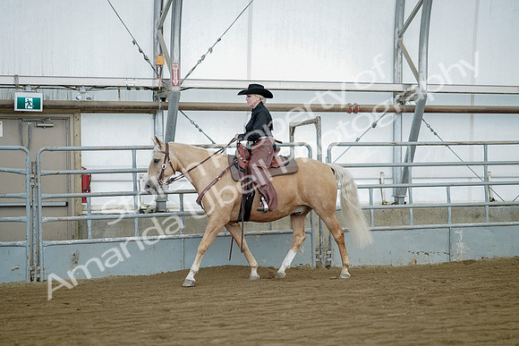 July 21, 2019 - 06610