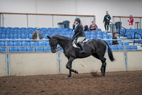 2019 Morgan Horse Show - Aug 31, 2019 - 14632