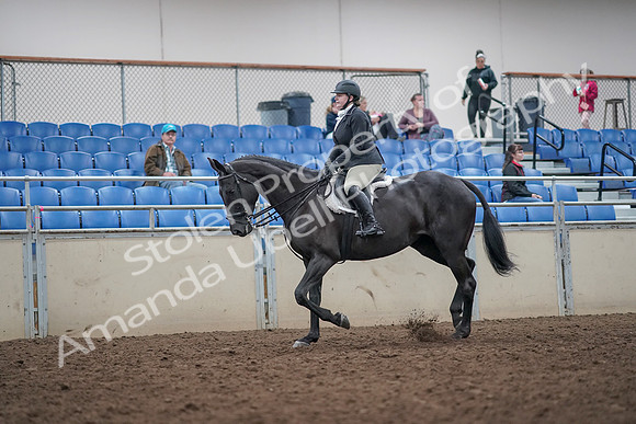 2019 Morgan Horse Show - Aug 31, 2019 - 14632