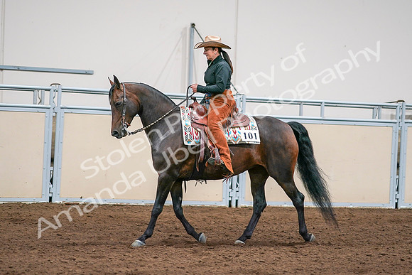 2020 - AB Morgan Horse - Sun, Sept 06 - 01561