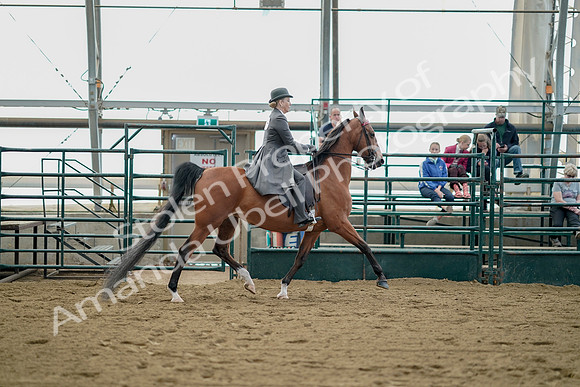 July 21, 2019 - 01841
