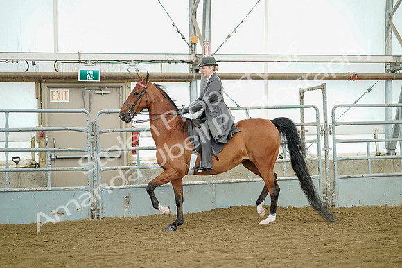 July 20, 2019 - 07707
