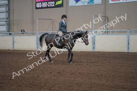 2019 Morgan Horse Show - Sept 01, 2019 - 11071