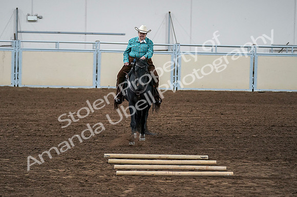2020 - AB Morgan Horse - Fri, Sept 04 - 00509