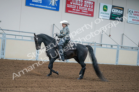 2020 - AB Morgan Horse - Fri, Sept 04 - 03598