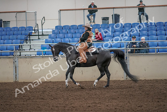 2019 Morgan Horse Show - Aug 31, 2019 - 06089