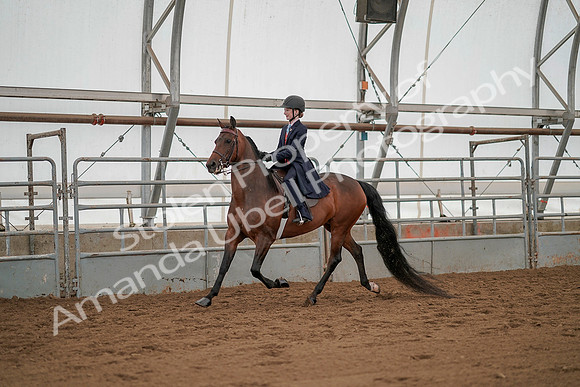 July 20, 2019 - 03731