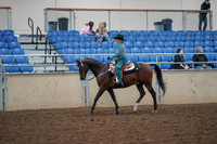 2019 Morgan Horse Show - Aug 30, 2019 - 16707