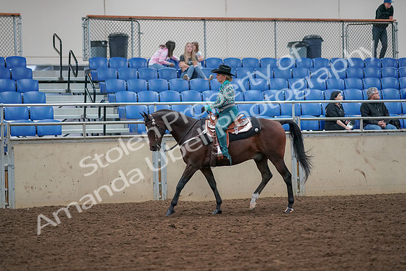 2019 Morgan Horse Show - Aug 30, 2019 - 16707