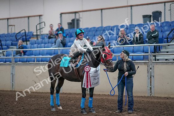 2019 Morgan Horse Show - Aug 31, 2019 - 10230