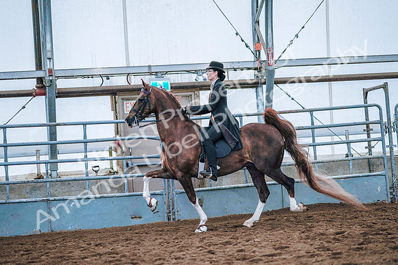 July 20, 2019 - 23935