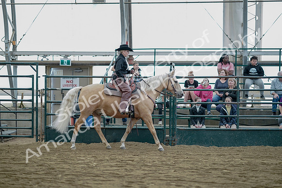 July 21, 2019 - 06849