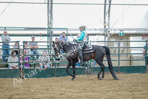 July 21, 2019 - 09117