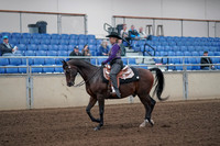 2019 Morgan Horse Show - Aug 31, 2019 - 10537