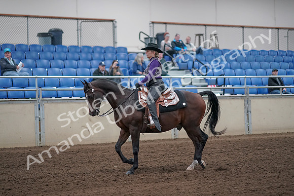 2019 Morgan Horse Show - Aug 31, 2019 - 10537