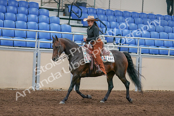 2020 - AB Morgan Horse - Sun, Sept 06 - 01602