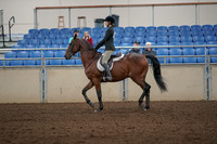 2019 Morgan Horse Show - Aug 31, 2019 - 04832