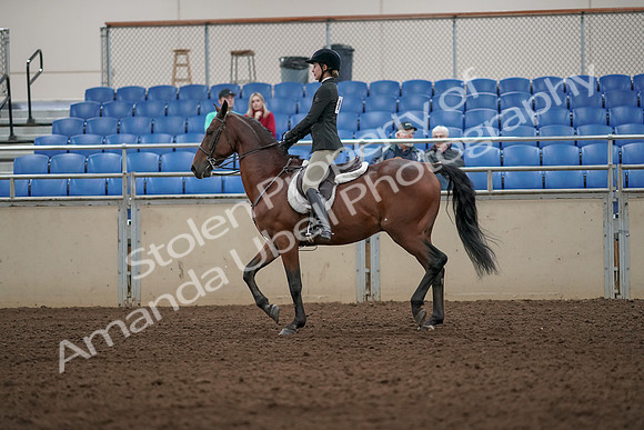 2019 Morgan Horse Show - Aug 31, 2019 - 04832