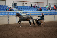 2019 Morgan Horse Show - Aug 31, 2019 - 04226