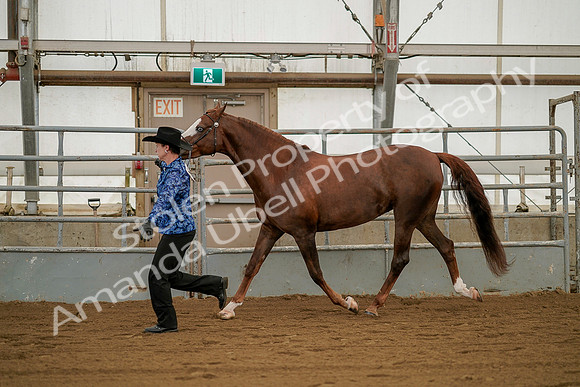 July 19, 2019 - 1296