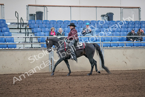 2019 Morgan Horse Show - Aug 31, 2019 - 10644