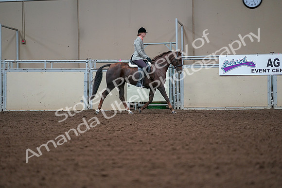 2019 Morgan Horse Show - Aug 30, 2019 - 18493