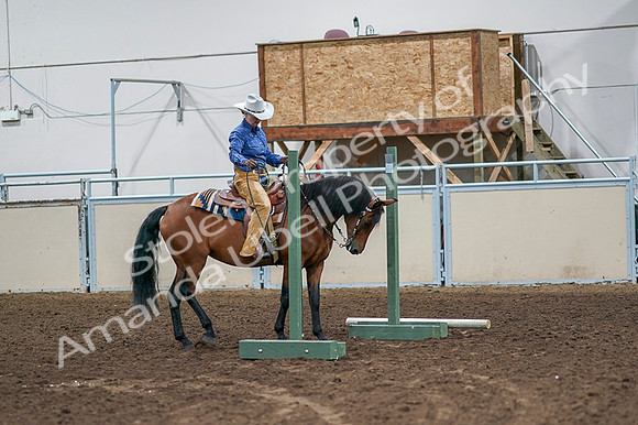 2020 - AB Morgan Horse - Fri, Sept 04 - 00120