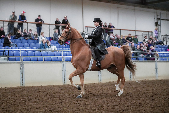 Spring Fling - Saturday - April 20, 2019  -  04137