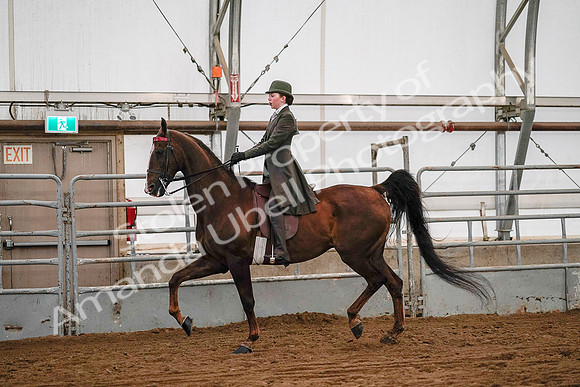 July 19, 2019 - 8906