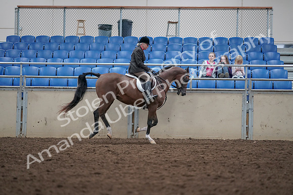 2019 Morgan Horse Show - Aug 31, 2019 - 16139